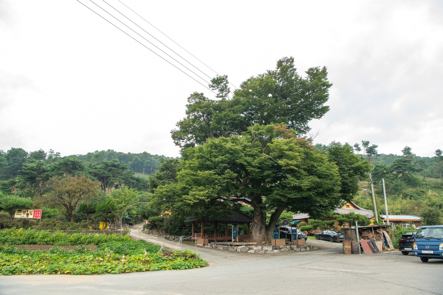물한·꾀꼴산성길 사진 6