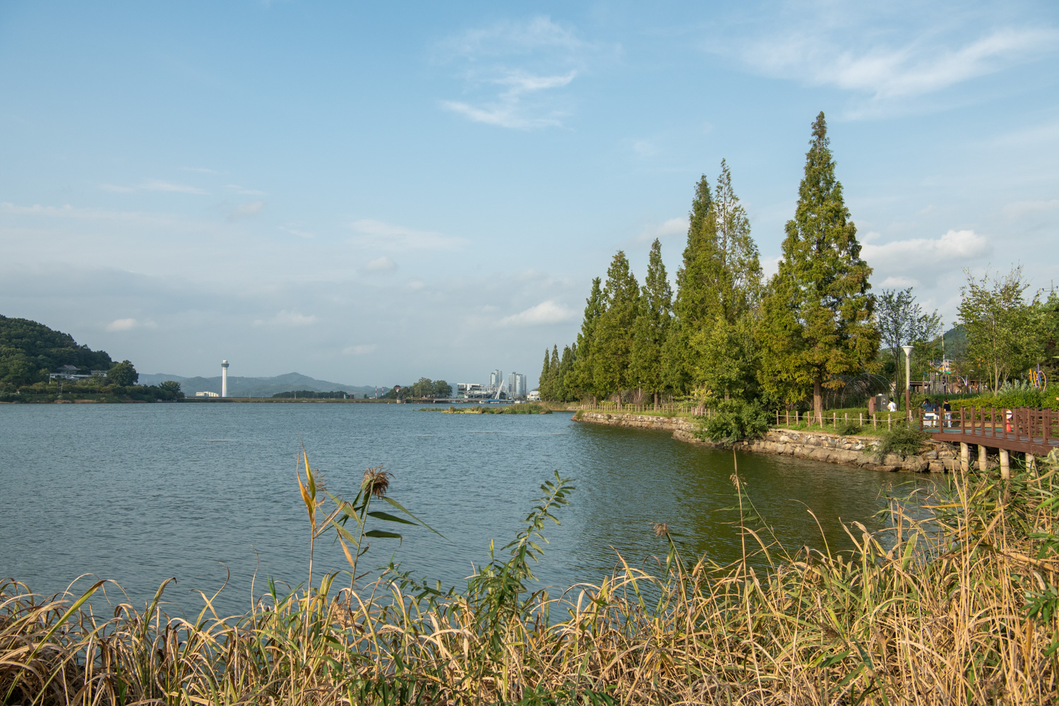 신정호수변길 사진 9