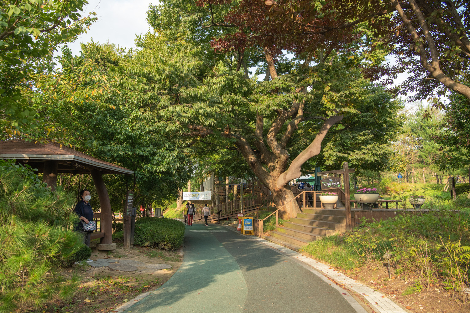 신정호수변길 사진 12