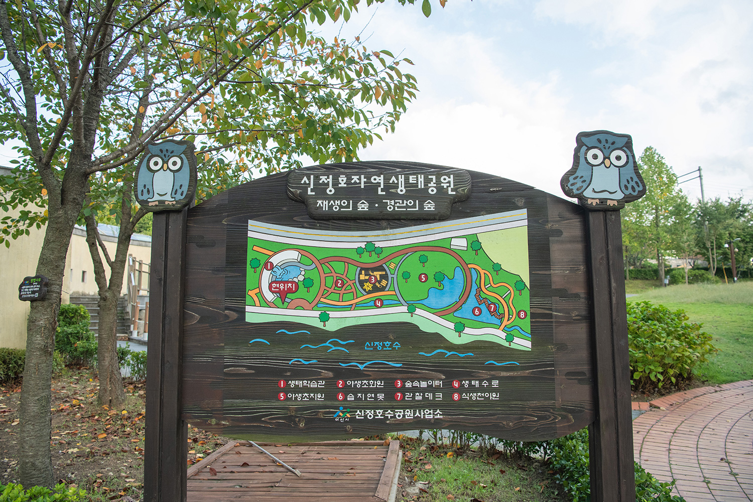 신정호수변길 사진 13