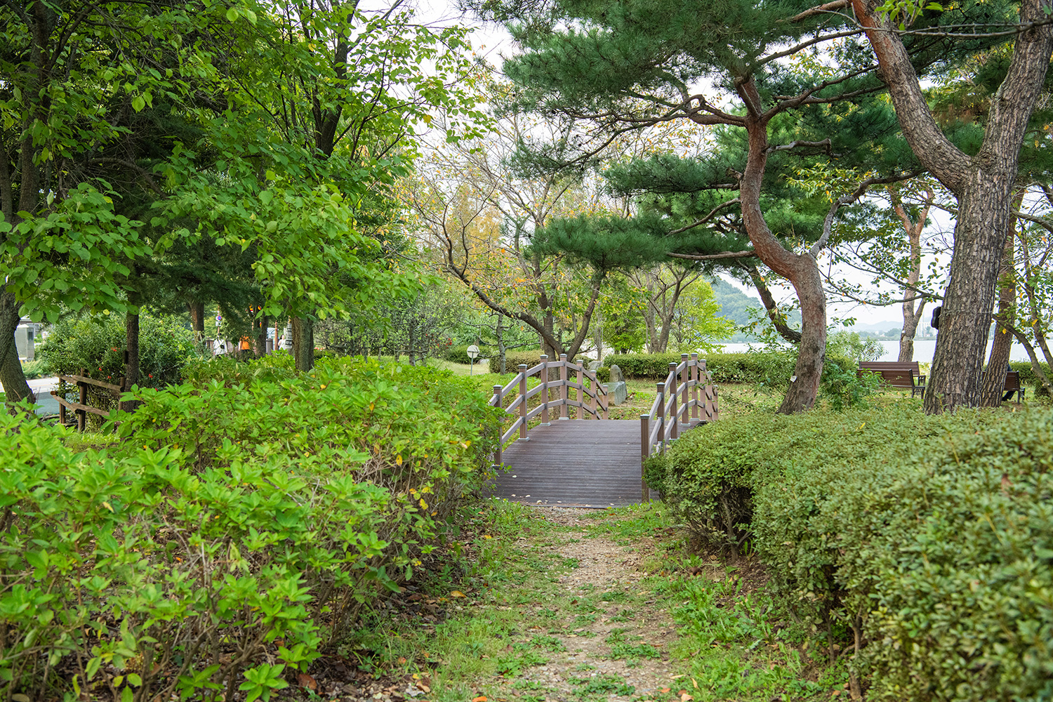 신정호수변길 사진 17
