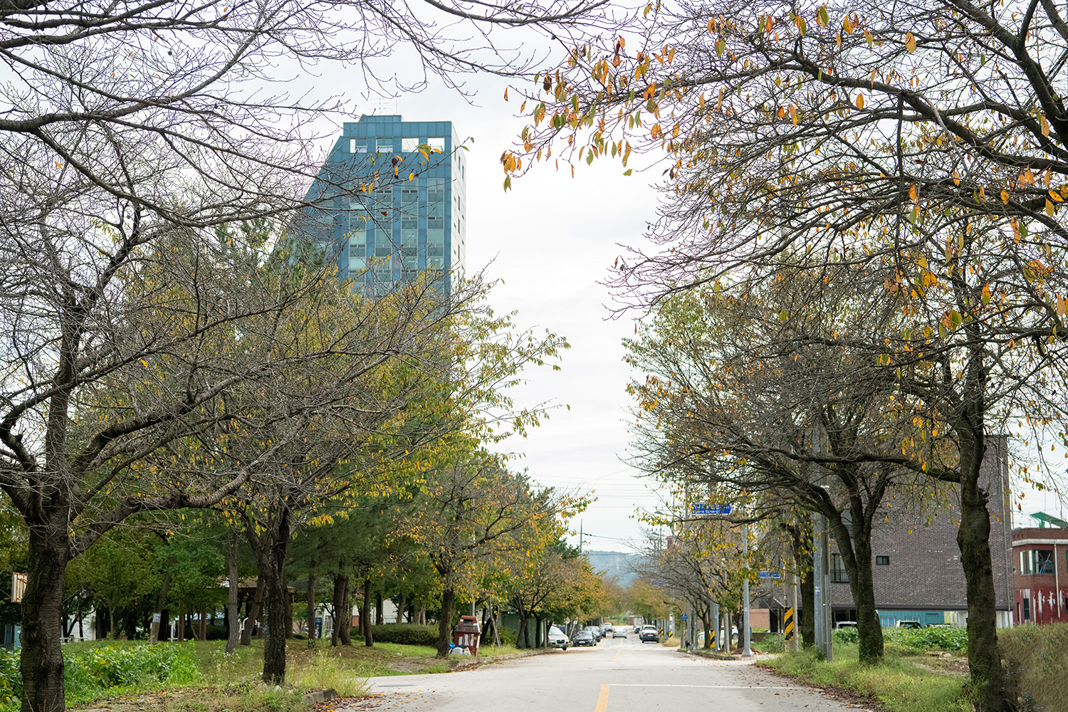 도고온천 마실길 사진 9