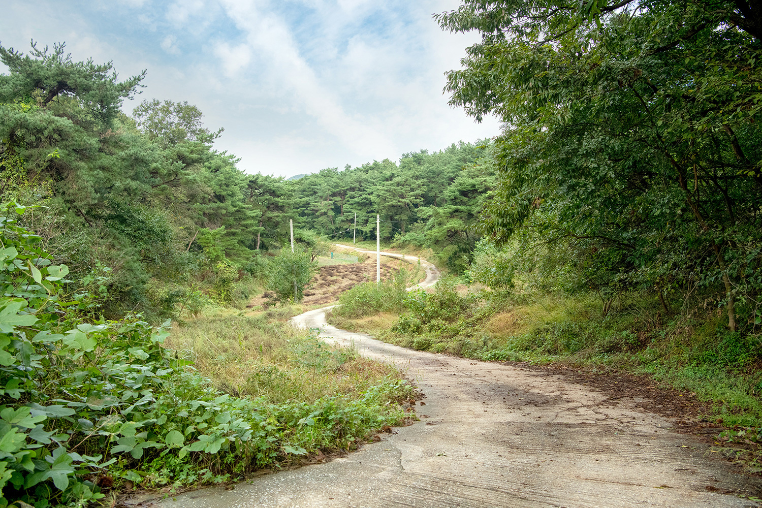 도고온천 마실길 사진 10