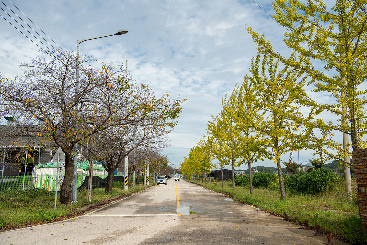 도고온천 마실길 사진 14