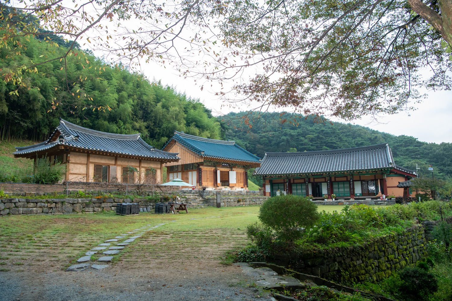 천년비손길 사진 2