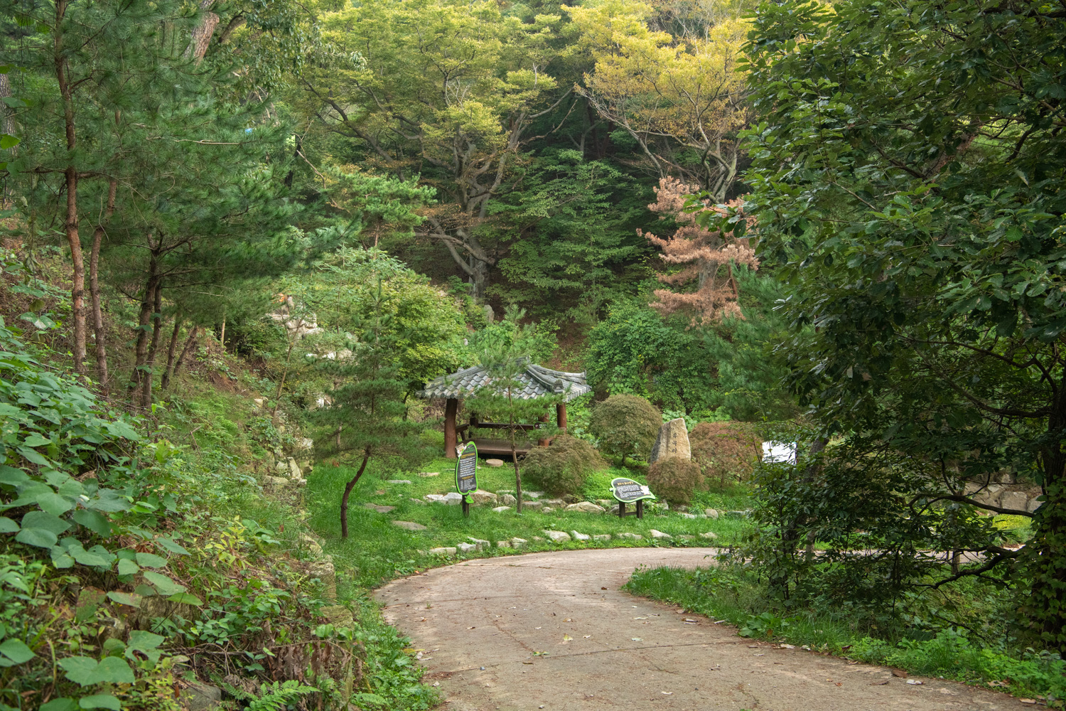 봉곡사솔바람길 사진 1
