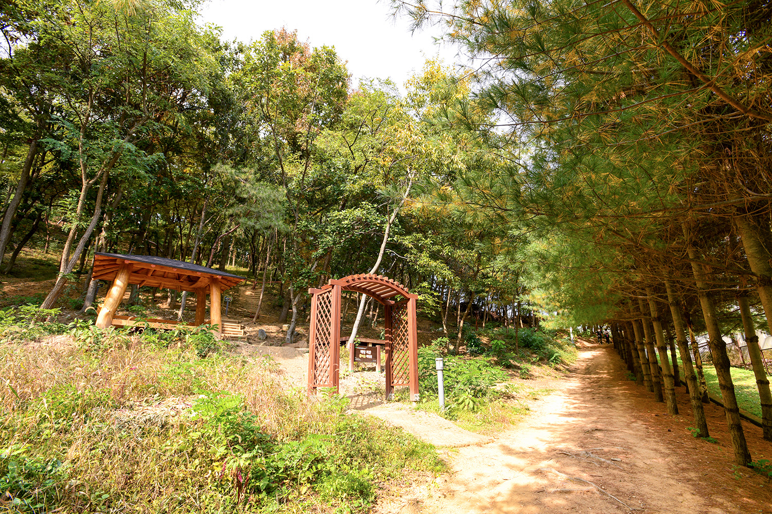 지산공원 둘레길 사진 6