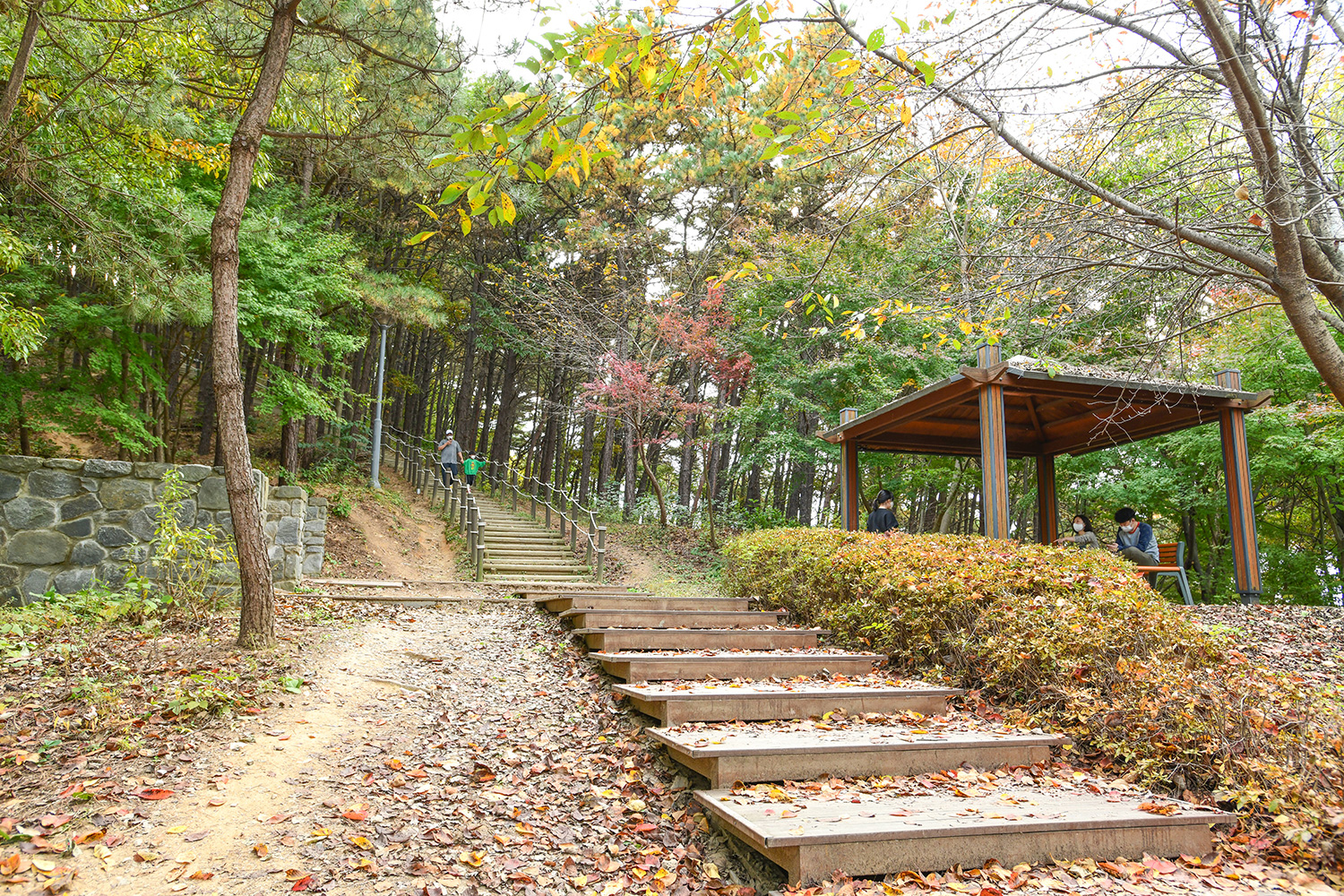 지산공원 둘레길 사진 14