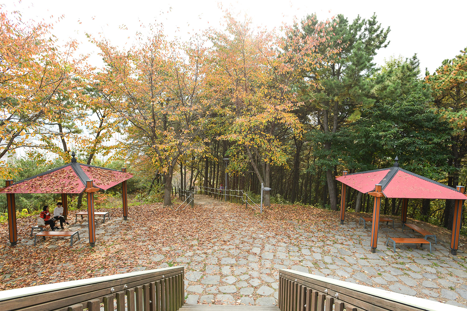 지산공원 둘레길 사진 16