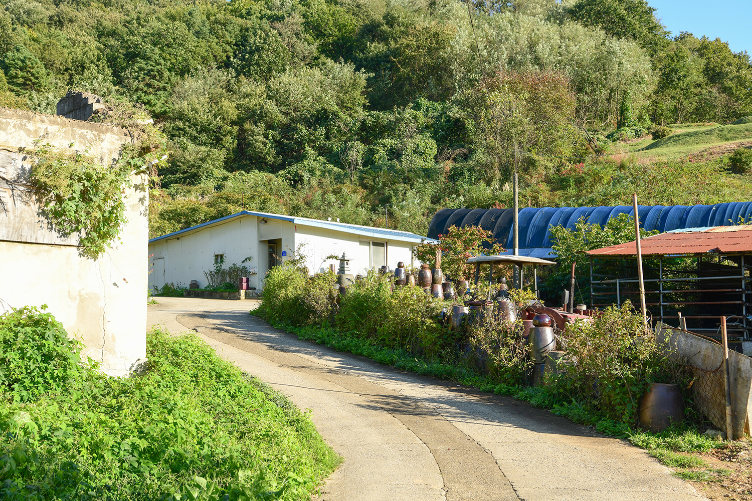 충의길(1구간) 사진 9