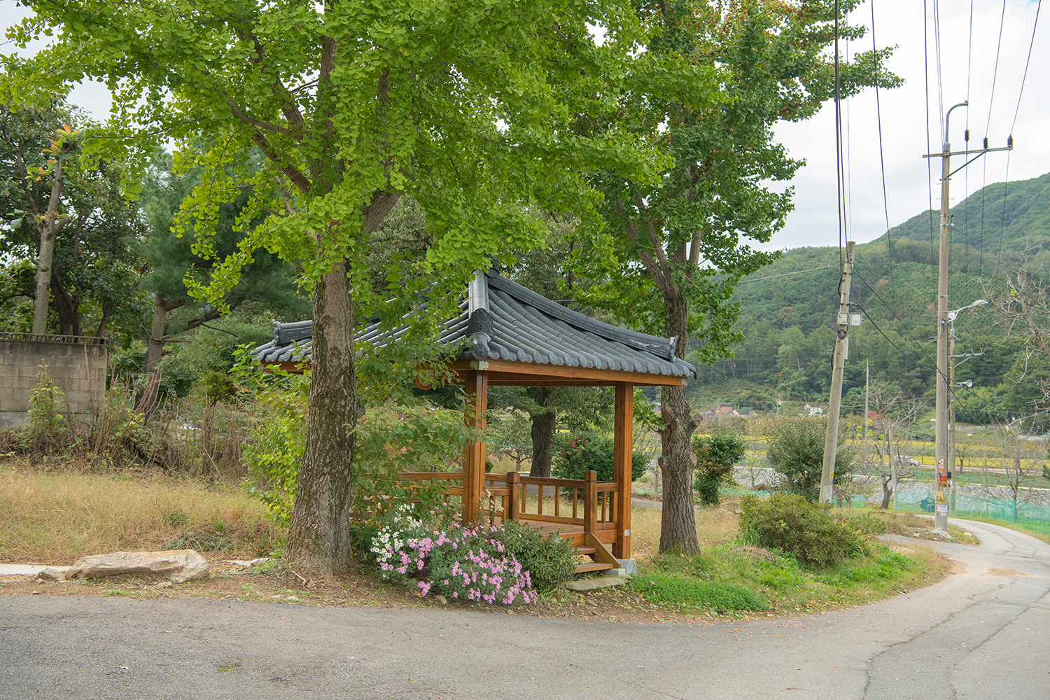 구국의길(3구간) 사진 7