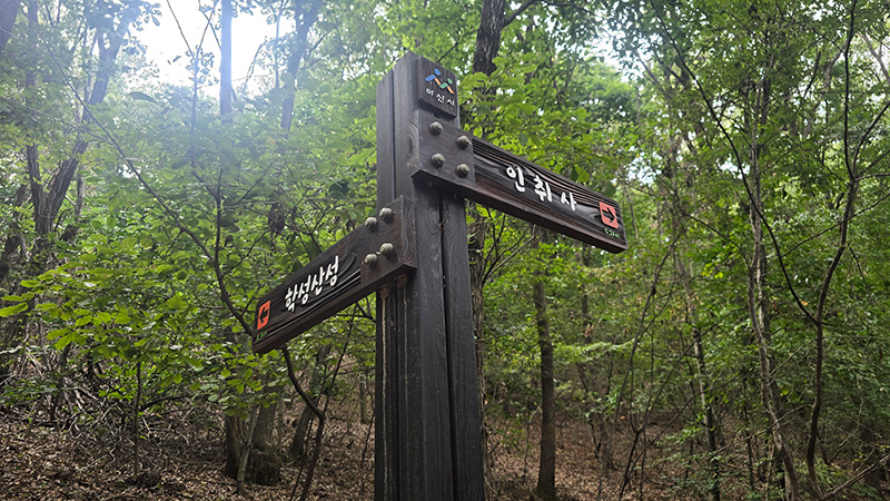 학성산 둘레숲길 2코스 사진 6