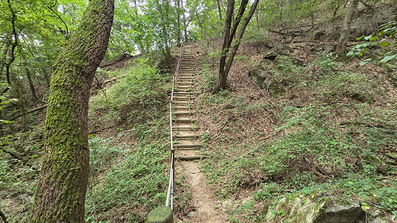 학성산 둘레숲길 3코스 사진 11