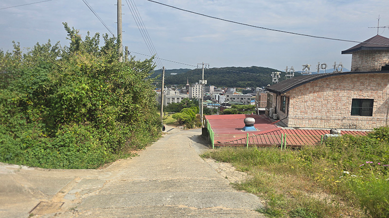 학성산 둘레숲길 4코스 사진 2