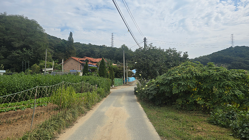 학성산 둘레숲길 7코스 사진 3