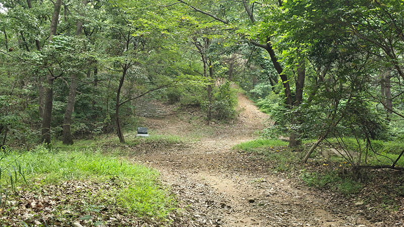 학성산 둘레숲길 8코스 사진 41