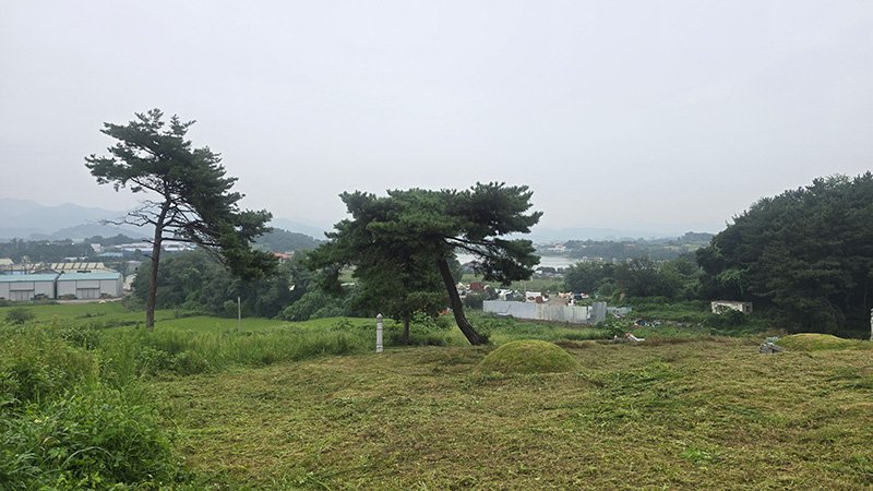 오목리 숲길 진입로